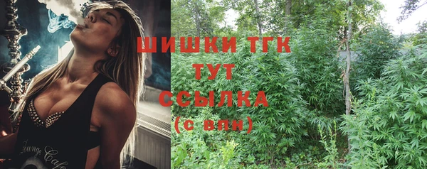 индика Нефтегорск