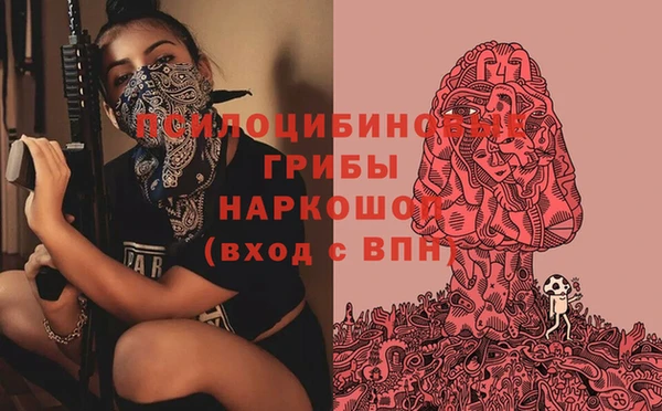 индика Нефтегорск