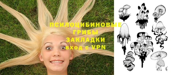 мдпв Санкт-Петербург