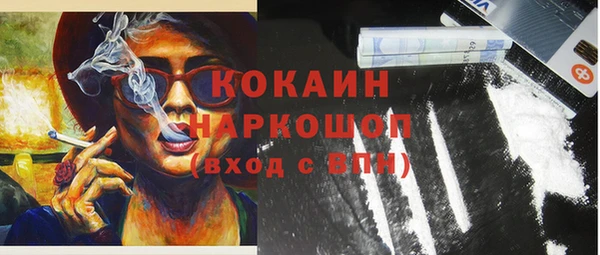индика Нефтегорск