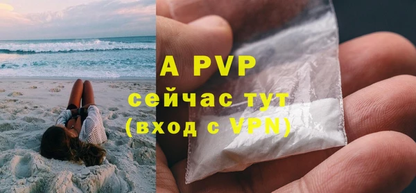 индика Нефтегорск